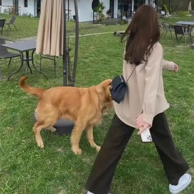 愿来世为他人