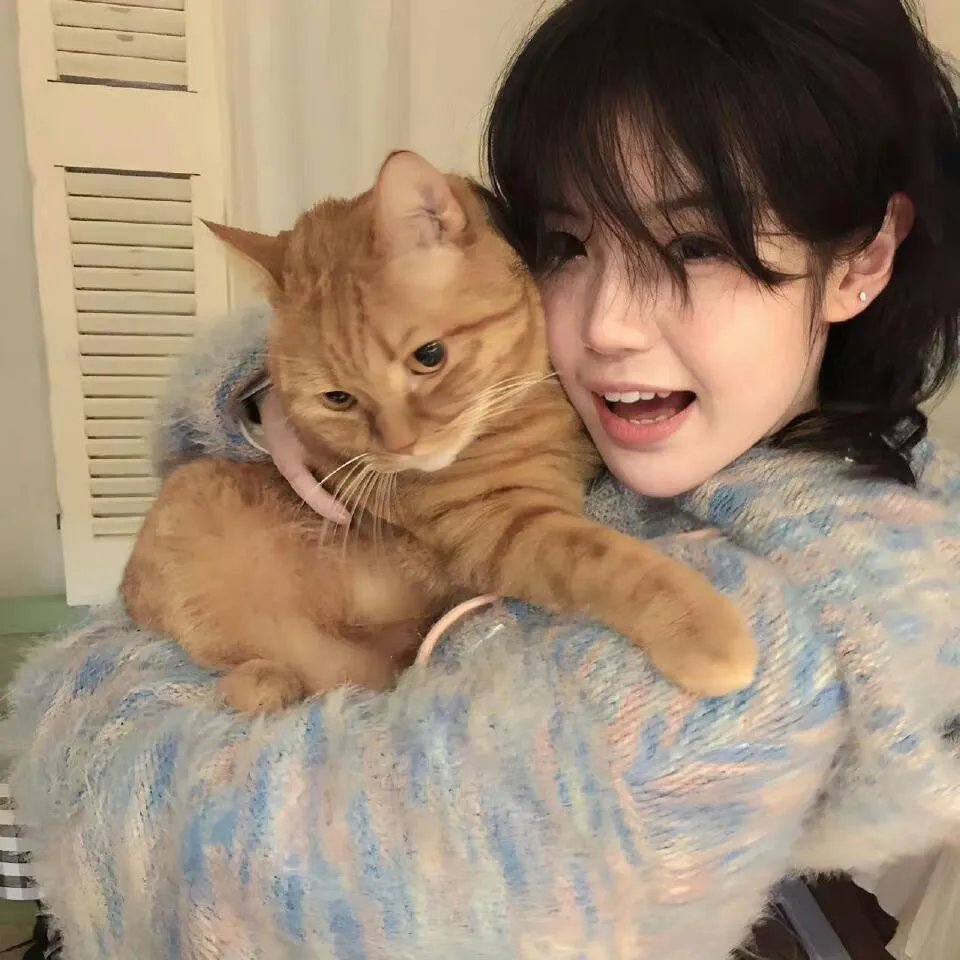 我的家乡在陕西第二季